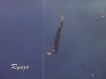 Ryuzo Wining Triple depth 2005 Dahab Blue hole.