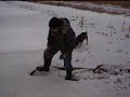 Ice Chuckers! (audio unavailable) Ice Chuckers! (audio unavailable)
