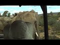 South Africa - Part 1