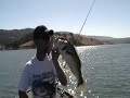 Rus Snyders 8-27-08 Lake Anderson Bass Caught on Lunker Punker
