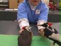 Is It Extinct? - Ivory-Billed Woodpecker