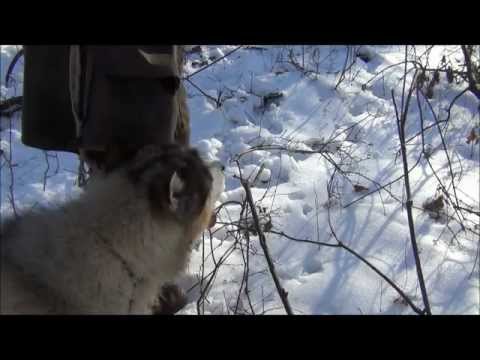 how to treat snow blindness