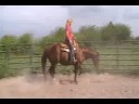Finished Pleasure Mare in foal to KYBIF IO Stallion