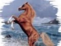 Horses Rearing