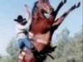 Horses Rearing