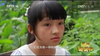 最美孝心少年 向小康:用歌聲陪伴媽媽