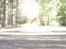 Tannerite and dry ice day \