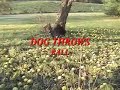 DOG THROWS BALL -REALLY/Big Deer Bucks leap Ice Storm Pt. 2