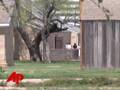 31 Teens From FLDS Ranch Pregnant or Mothers