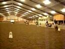 4tal delnerbroek 1 (lotte, jolijn, sophie & rianne)