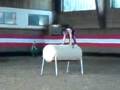 videos de Voltii Klara Einzel A.wmv