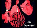 Erkin Koray Cover Galeri