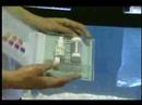 Instructional Cichlid Aquarium DVD (Preview PH)