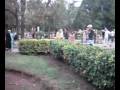 shadows-park
