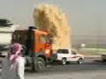 عجائب