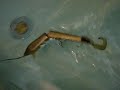 world-of-warcraft-fishing-test.html
