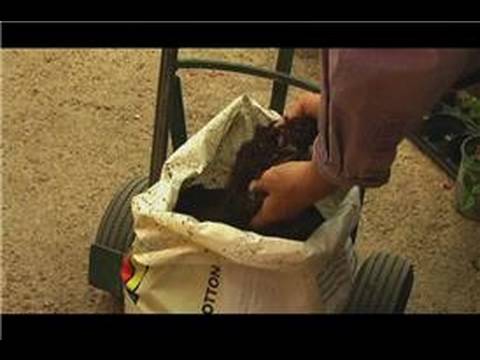 how to fertilize through mulch