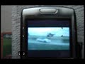 palm treo 750