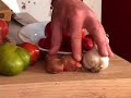 Tomato Gazpacho Recipe