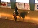 Dressage horse l:B