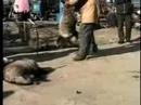 FTC Entertainment - Animal Cruelty FTC Entertainment - Animal Cruelty