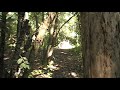 2009 Broadhead Shoot video 4