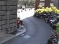 videos de VESPEIRAS  DE GENOVA  BY NILTON