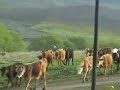Karakocan yenik�y maciran 3
