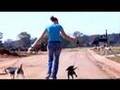 Beagle video