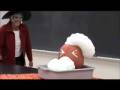 videos de Puking Pumpkin