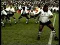 Fijian Cibi