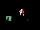 roger waters   sheep   morumbi   dá lhe porco!