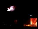 roger waters   sheep   morumbi   dá lhe porco!