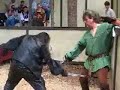 Robin Hood vs the Sheriff of Nottingham at TRF