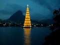 Árvore da Lagoa