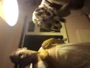 funny funn funny