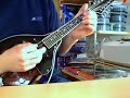 Ulyses 31 mandolin