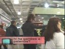 tv3   tvist   hi ha gambes a palamós?