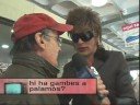 tv3   tvist   hi ha gambes a palamós?