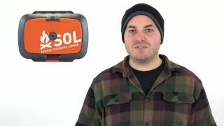 Superfly Gold Stainless Steel Curved Forcep 6'' - Large Loop/Rust Resistant