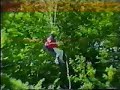 recuento de bloopers en parapente.

como dato queda, que por muy viejo que sea tu trapo....este siempre va a tender a volar.