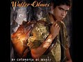 MIX DE WALTER OLMOS PARA BAILAR