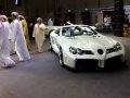 dubai car show 2009