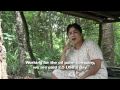A Legacy of Destruction: Cargill's plantation in Borneo.