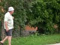 ePosavje.com - Padla sramota Krškega za 40.000€