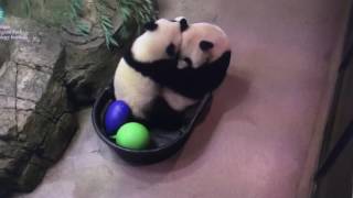 Smithsonian National Zoo