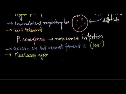 how to cure pseudomonas