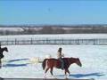 Horsemanship 3