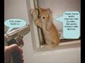 komik video,komik resimler