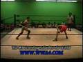 WWA4 Moves Kicks to gut and face